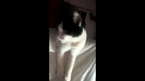 Snapshot of kay_la chatting on 10/04/25, 10:13 kay_la online show from 10/04/25, 10:13