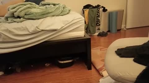 Snapshot of kayishard chatting on 12/29/24, 09:09 KayisHard online show from 12/29/24, 09:09