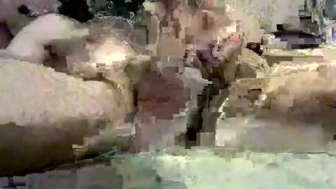 Snapshot of kazzarsouth chatting on 03/05/25, 02:12 kazzarsouth online show from 03/05/25, 02:12