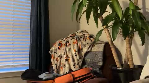 Keaton Keller online show from 10/17/25, 10:56