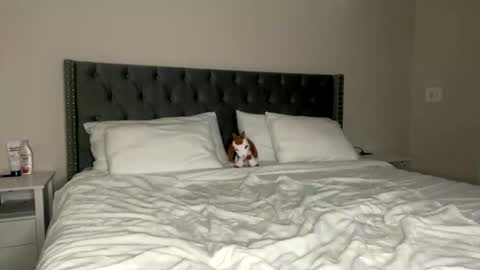 Kekeoutlaw online show from 02/13/26, 02:57