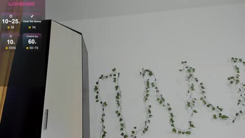 Kelly online show from 12/24/24, 11:17