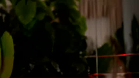 Denise online show from 03/29/26, 02:22