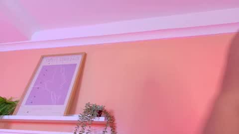   online show from 11/27/25, 10:17