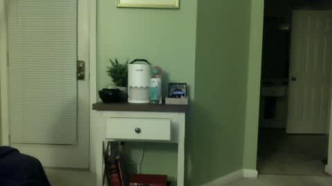 Steve online show from 12/28/24, 11:52