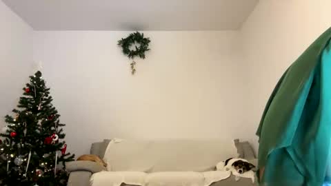 Kenna next time online - 2nd of Dec online show from 12/23/24, 01:03