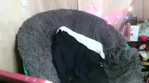 Snapshot of kennedynova777 chatting on 01/26/25, 10:24 Kennedy Nova online show from 01/26/25, 10:24