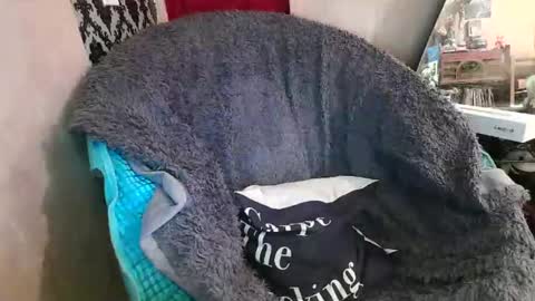 Snapshot of kennedynova777 chatting on 12/20/25, 09:22 Kennedy Nova online show from 12/20/25, 09:22