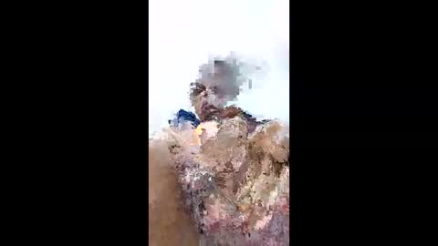 kenzo6140 online show from 04/12/26, 09:20