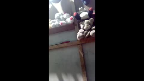 kevin_07279101 online show from 03/04/26, 04:40