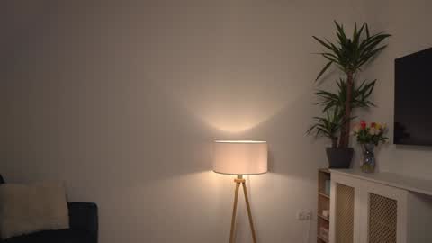 Snapshot of kevinandresxx chatting on 01/03/25, 11:46 Kevin online show from 01/03/25, 11:46