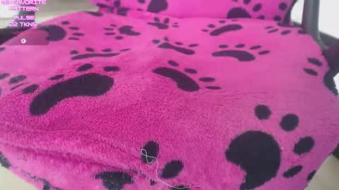 Kevin online show from 02/02/26, 05:00