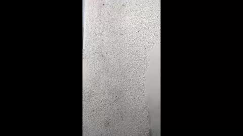 Khushipussy online show from 04/07/26, 02:28