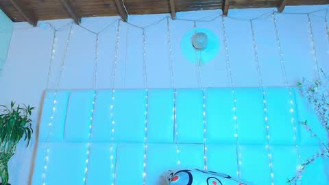    N         M online show from 01/26/25, 11:28