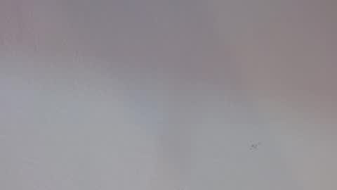 Melody online show from 09/30/25, 12:54