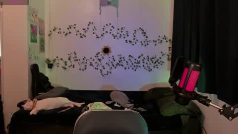Snapshot of kila_moonlight444 chatting on 06/17/26, 10:54 Bella online show from 06/17/26, 10:54