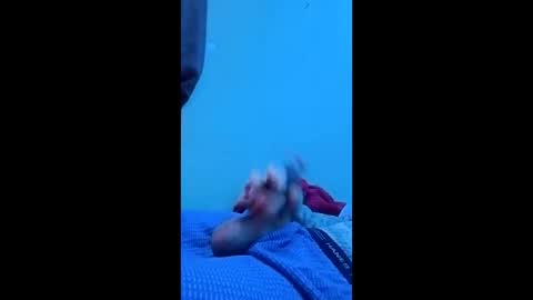 killakk_117 online show from 05/16/26, 10:12