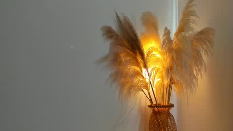 Kim Murphy online show from 12/31/24, 12:36