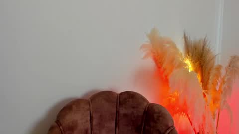 Kim Murphy online show from 01/25/25, 01:19