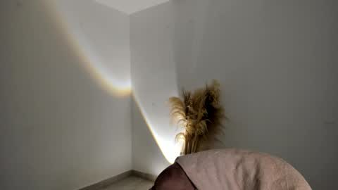 Kim Murphy online show from 11/18/25, 12:31