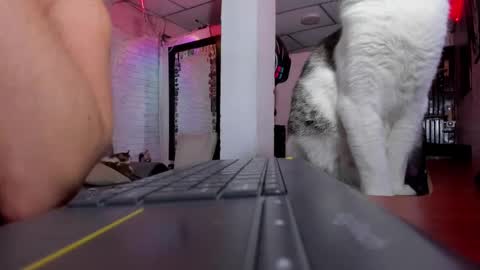 Snapshot of kimmymadison chatting on 02/01/25, 12:51 Melany online show from 02/01/25, 12:51