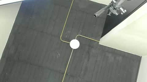 King Dante  online show from 12/31/24, 07:20