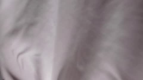 King Dante  online show from 02/11/25, 12:06