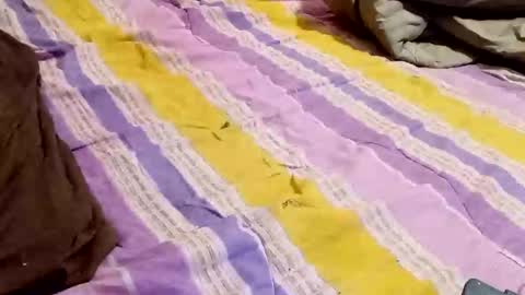 kingbat30 online show from 03/02/25, 12:42