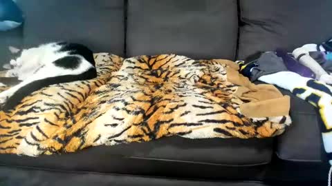 Snapshot of kinkykortney chatting on 02/04/25, 06:17 Kinky online show from 02/04/25, 06:17