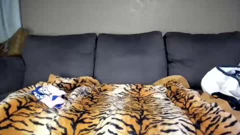Snapshot of kinkykortney chatting on 02/11/25, 12:16 Kinky online show from 02/11/25, 12:16