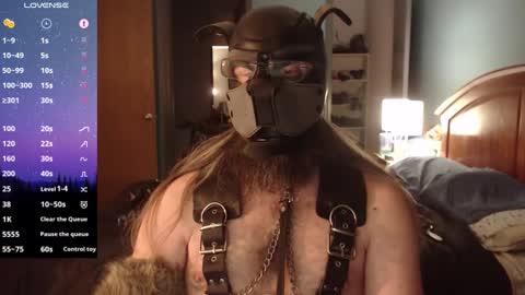 kinkywolf87 online show from 12/05/24, 07:05