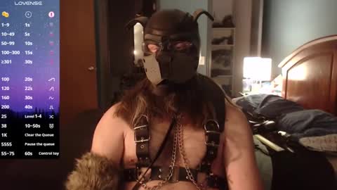 kinkywolf87 online show from 01/20/25, 01:18