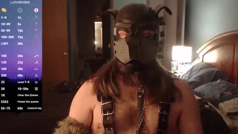 kinkywolf87 online show from 01/23/25, 06:06