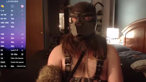 kinkywolf87 online show from 02/01/25, 01:44