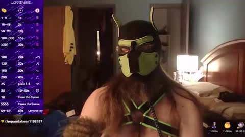 kinkywolf87 online show from 10/19/25, 05:30