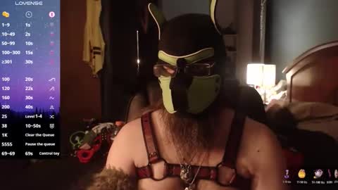 Snapshot of kinkywolf87 chatting on 05/07/26, 12:49 kinkywolf87 online show from 05/07/26, 12:49