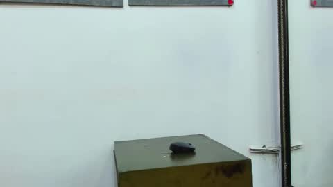 kira online show from 02/27/25, 03:26