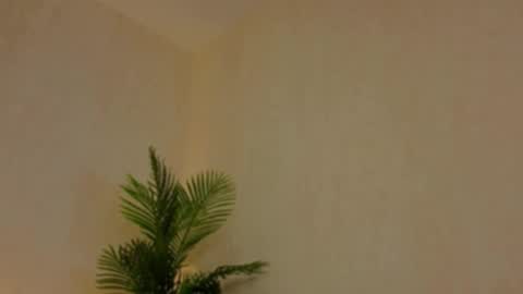 kirabesser online show from 02/27/26, 10:15