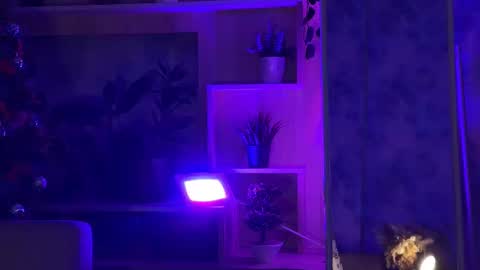 Kira    online show from 02/16/25, 04:42