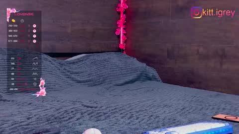 Snapshot of kitigrey chatting on 10/30/25, 09:55 kitigrey online show from 10/30/25, 09:55