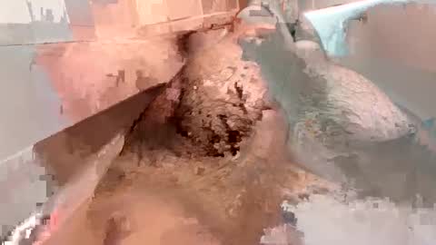 Snapshot of kitkatmac chatting on 01/03/25, 07:29 kitkatmac online show from 01/03/25, 07:29