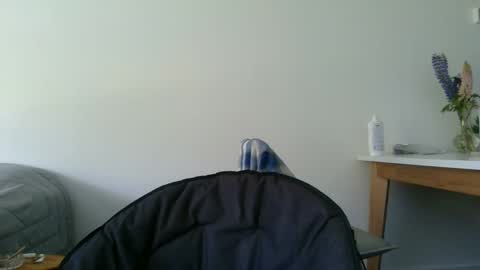 Steve Cocks online show from 12/11/24, 03:37