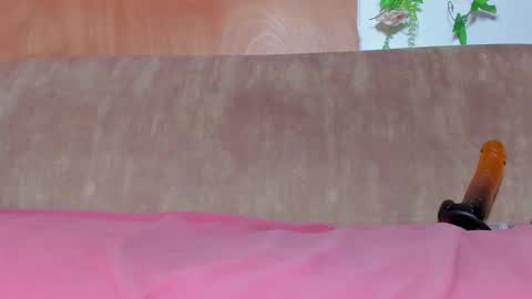 Kitsune-sama online show from 09/20/25, 02:40