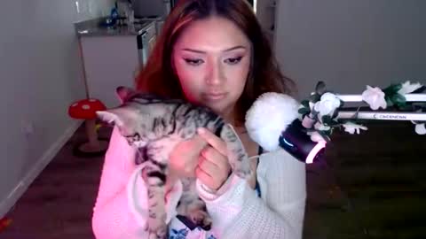 Snapshot of kittengonewild chatting on 05/23/26, 04:00 kittengonewild online show from 05/23/26, 04:00