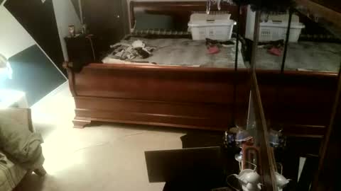 Snapshot of kittenkatch chatting on 02/08/26, 05:11 KittenKatch online show from 02/08/26, 05:11