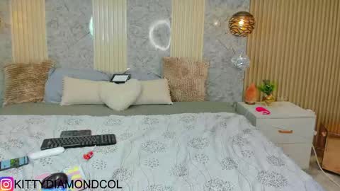 Snapshot of kitty__diamond_ chatting on 04/19/26, 03:06 kitty__diamond_ online show from 04/19/26, 03:06