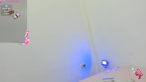 kitty online show from 10/08/25, 09:23