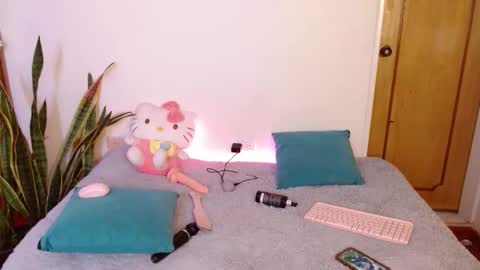 Snapshot of kittycatw chatting on 02/10/26, 05:55 LAURA help me reach 100likes online show from 02/10/26, 05:55