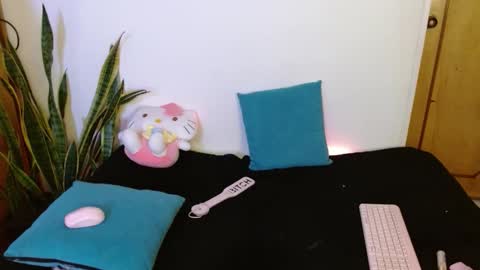 Snapshot of kittycatw chatting on 02/11/26, 07:02 LAURA help me reach 100likes online show from 02/11/26, 07:02