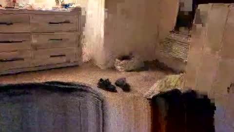 Snapshot of kittykat175154 chatting on 02/27/26, 10:04 kittykat175154 online show from 02/27/26, 10:04